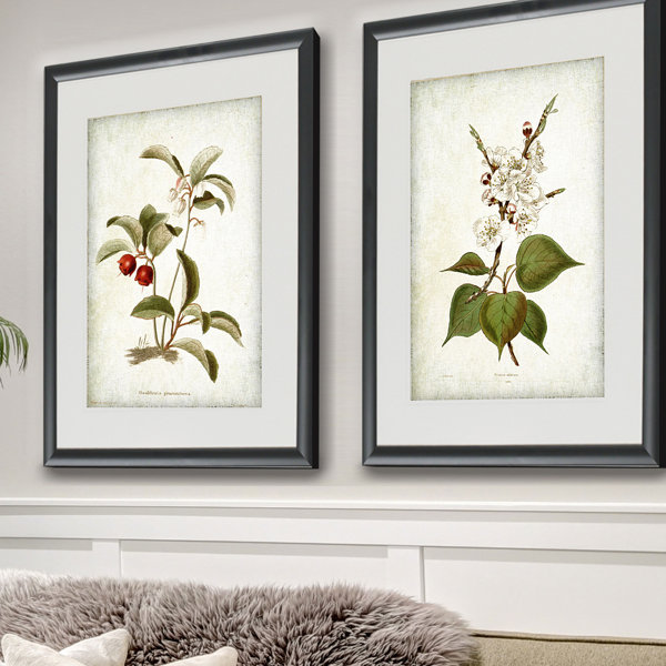 'Vintage Botanical Sketch IV' 2 Piece Framed Acrylic Painting Print Set